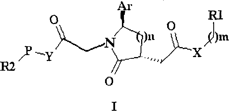 Trisubstituted chiral lactam derivative and preparation method and application thereof