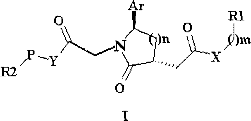 Trisubstituted chiral lactam derivative and preparation method and application thereof