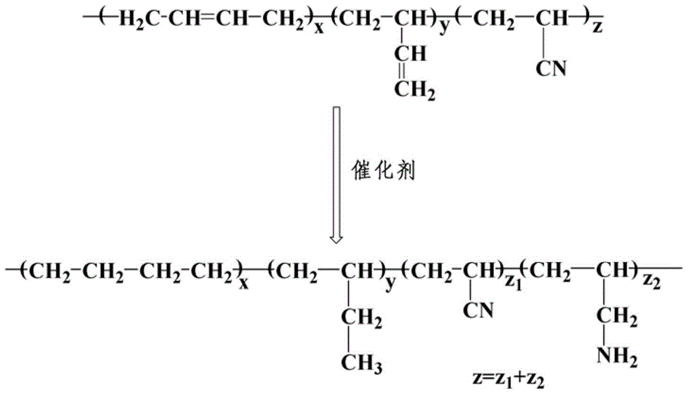 A kind of preparation method and obtained product of hydrophilic aminated hydrogenated nitrile rubber