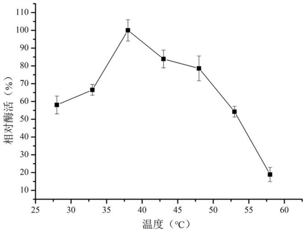 Zearalenone lactone hydrolase mutant S162P with improved thermal stability and application thereof