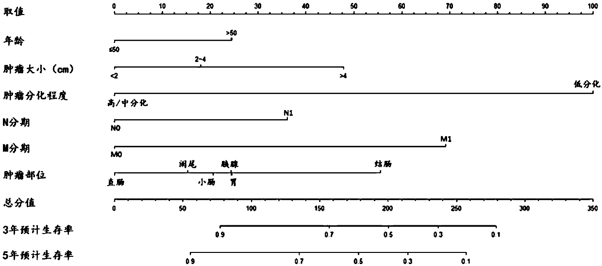 System for precisely predicting prognoses of patients with gastro-entero-pancreatic neuroendocrine tumors