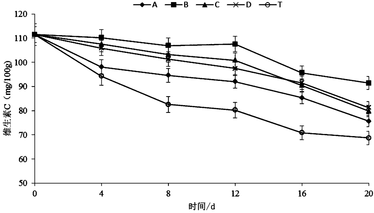 Tea polyphenol composite coating preservative and preparation method thereof