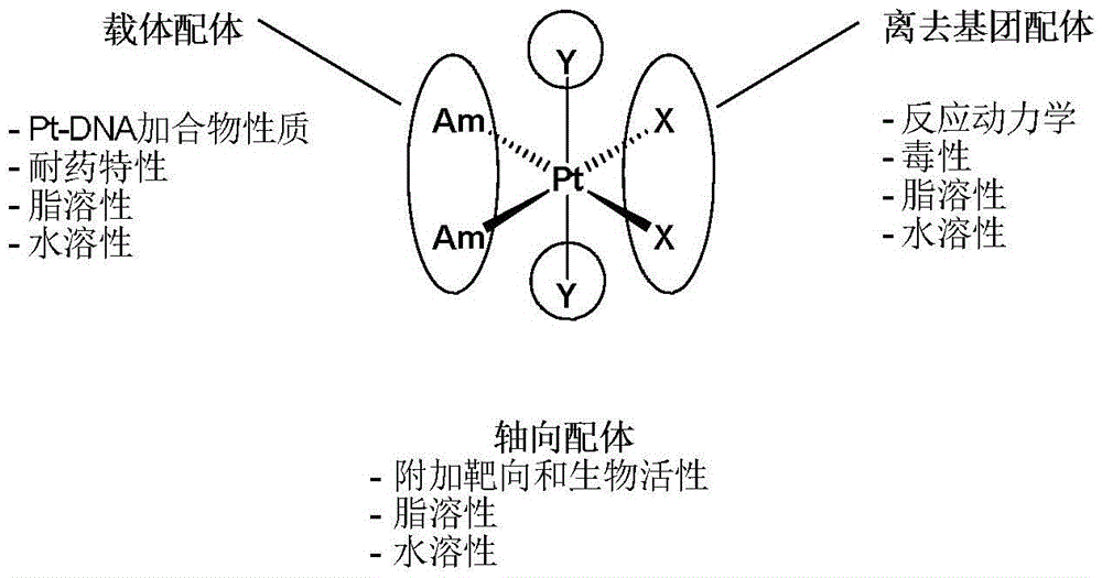 Tetravalent platinum complex with bioactive group and preparation method of tetravalent platinum complex