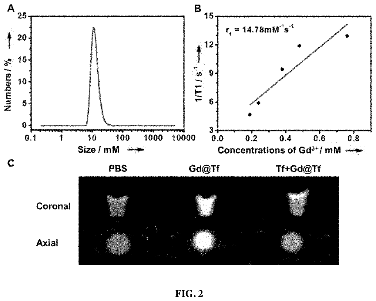 Tumor-targeting, clearable human protein-based MRI nanoprobes, and compositions and methods thereof