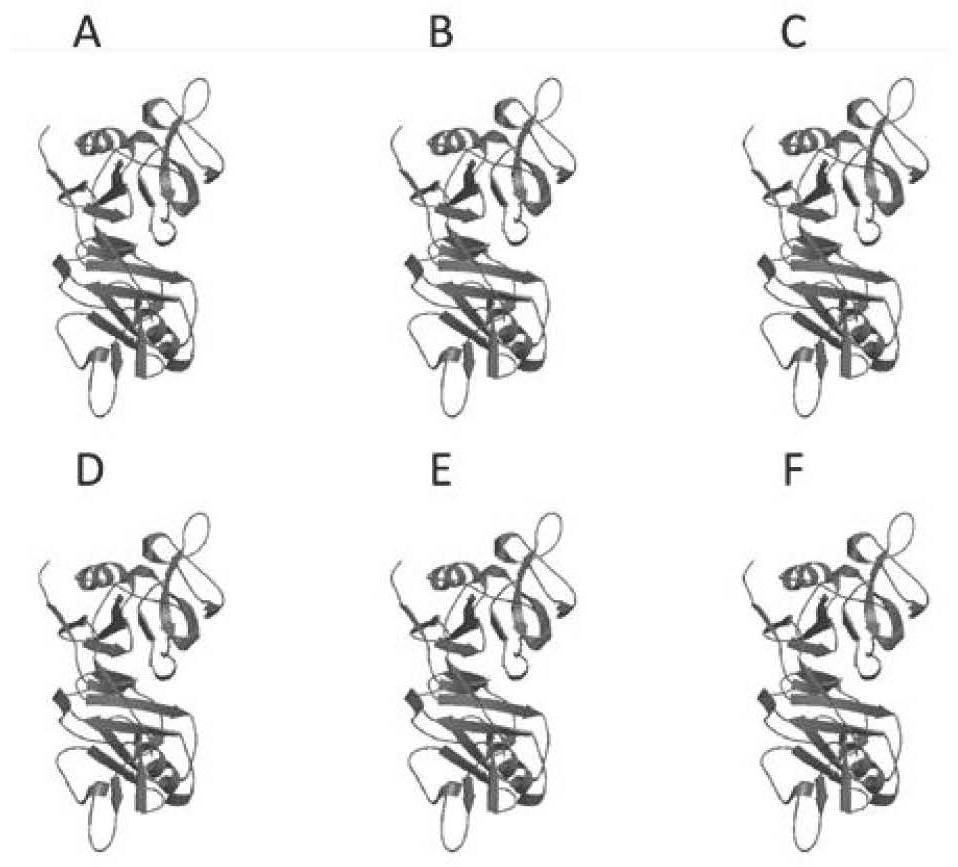 Chimeric antigen recipient cell targeting human CD33 and NKG2DL as well as preparation method and application of chimeric antigen recipient cell