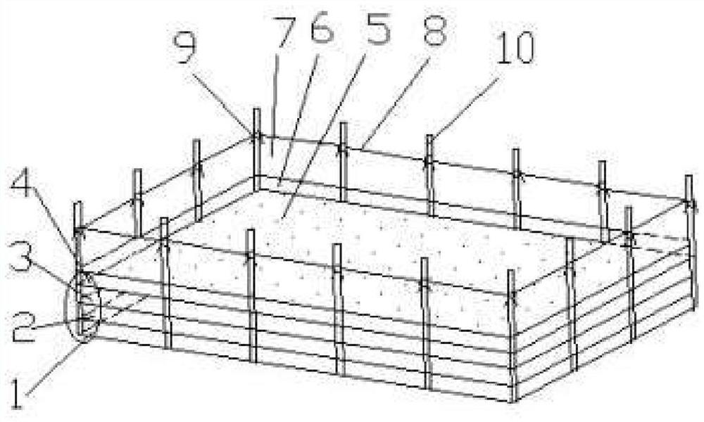 A three-stage cultivation method for large-scale seedlings of Meretrix meretrix suitable for the cold sea area in northern my country