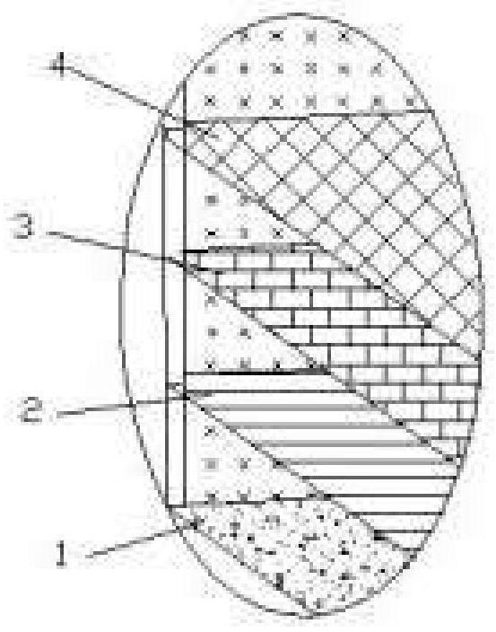 A three-stage cultivation method for large-scale seedlings of Meretrix meretrix suitable for the cold sea area in northern my country