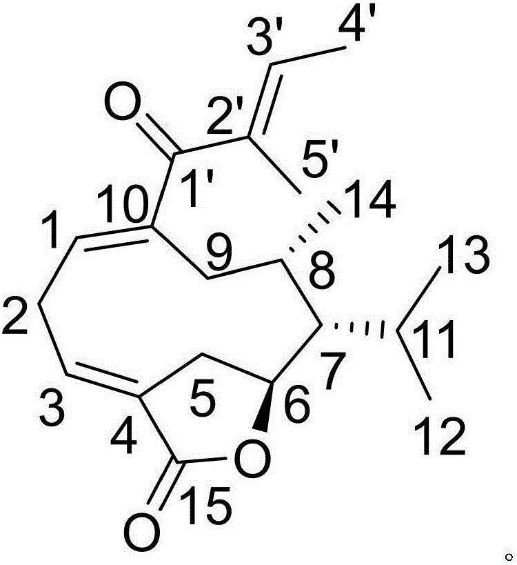 Pharmaceutical composition of cefdinir and medical application thereof