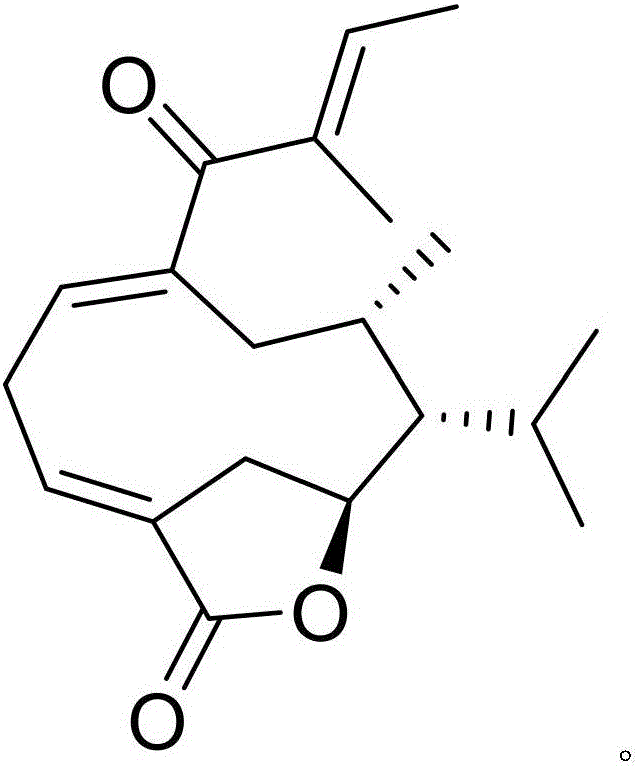 Pharmaceutical composition of cefdinir and medical application thereof