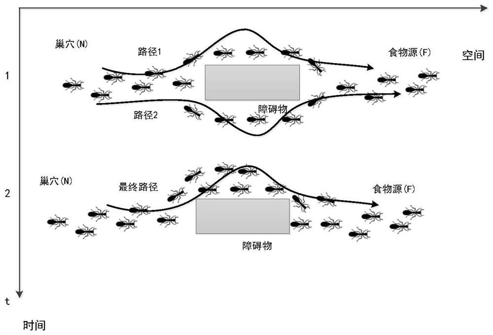 Unmanned aerial vehicle cluster collaborative target searching method imitating biological group negotiation behavior