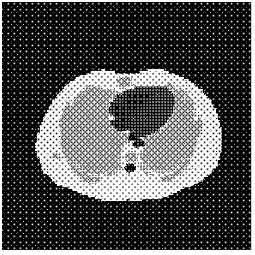 Particle filtering-based method of reconstructing static PET (Positron Emission Tomograph) images