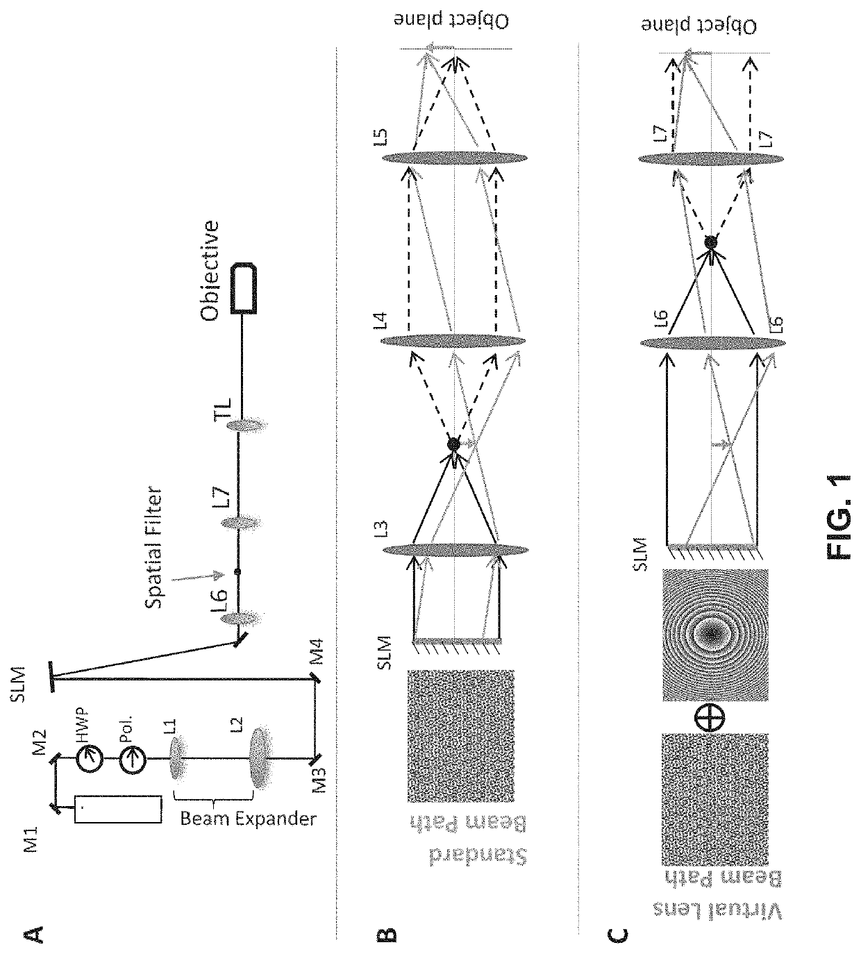 High fidelity configuration for two-photon slm microscopy