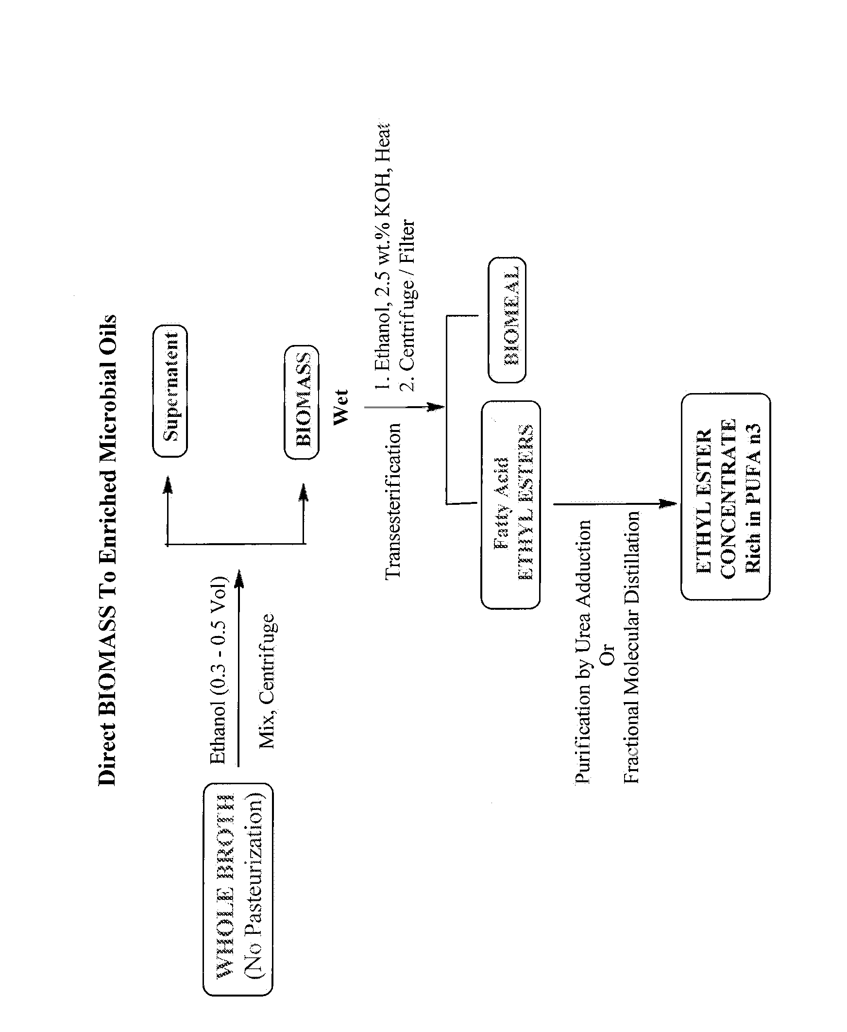 Microbial oils enriched in polyunsaturated fatty acids