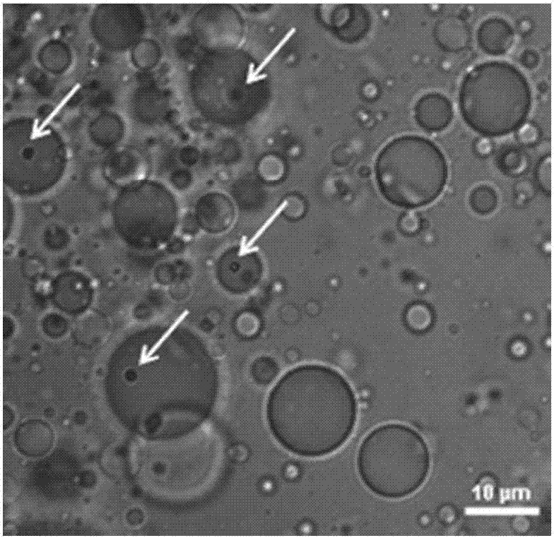 Digital miRNA analysis method for loop-mediated isothermal amplification in emulsion