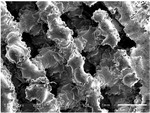 Preparation method of surface modified microporous metal implant