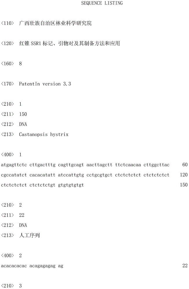 Red cone ssr1 marker, primer pair, preparation method and application thereof