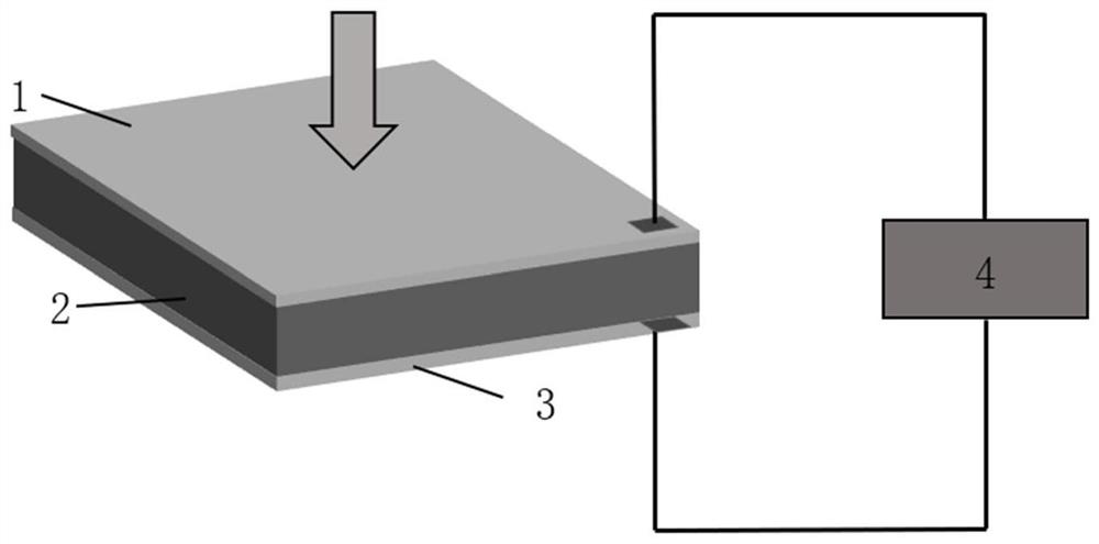 A kind of lead position doping methylamine lead iodine single crystal thin film and preparation method thereof