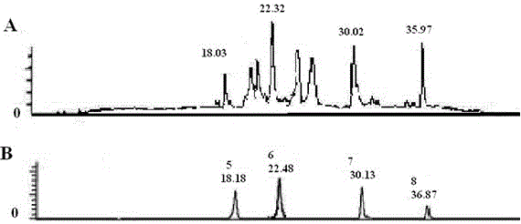 Chinese medicinal composition for promoting nerve regeneration and preparation method and use thereof