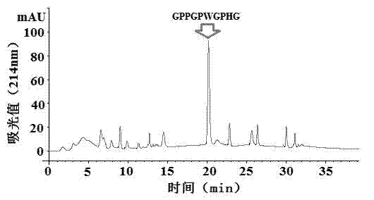 Preparation method for iron-chelated collagen peptide of hairtail fish-bones