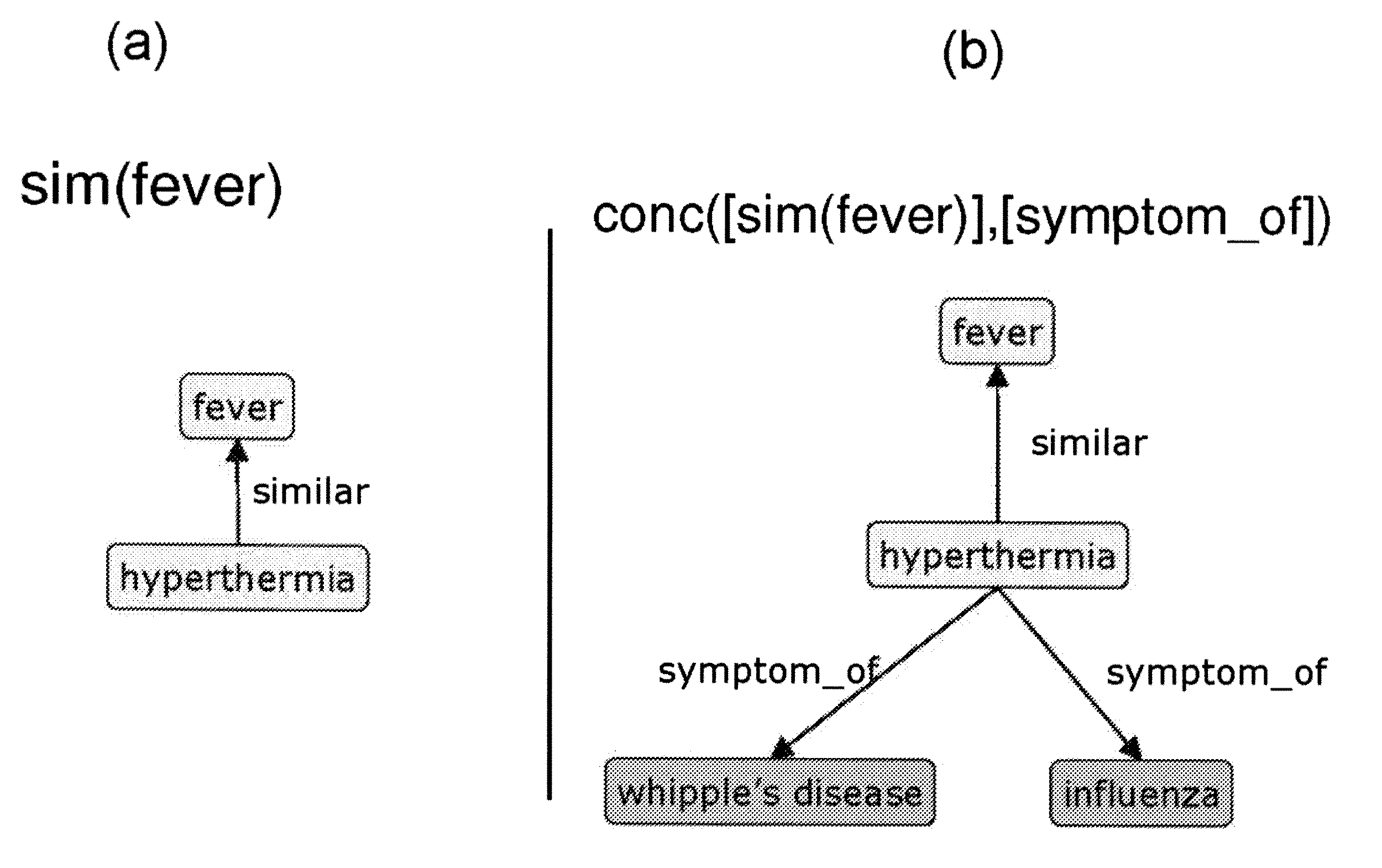 System and Method for Creating and Searching Medical Ontologies