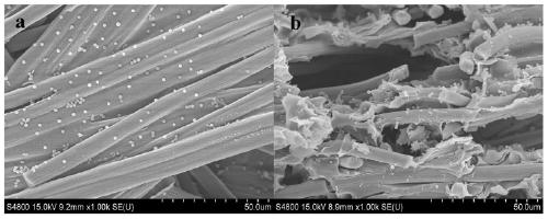 Electrochemical method for on-line determination of hydroxyl radicals in atmosphere