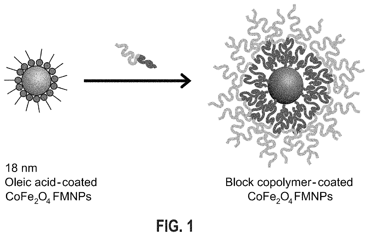 Aqueous soluble ferrimagnets stabilized by block copolymers