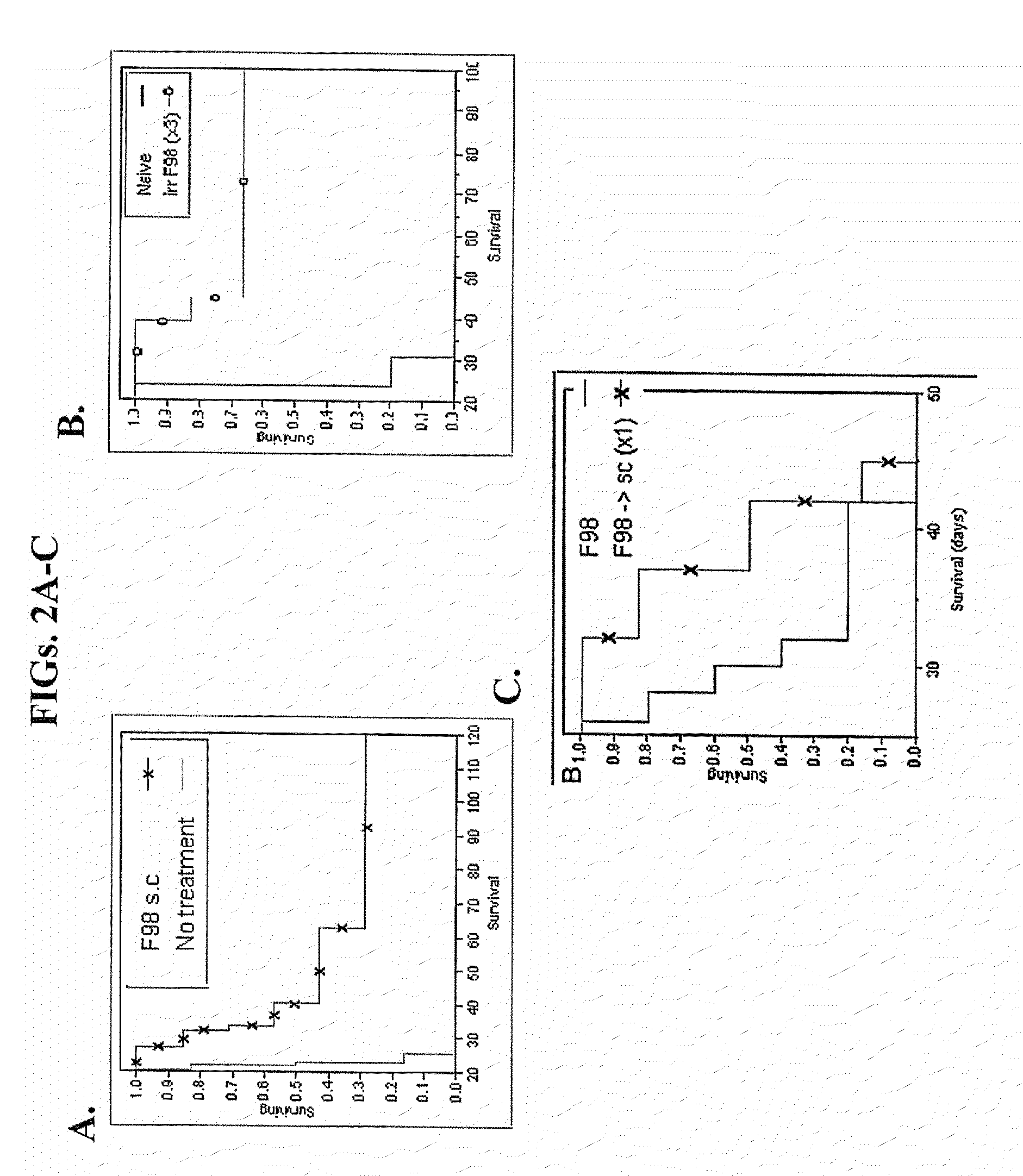 Methods of treating tumors in immune-privileged sites