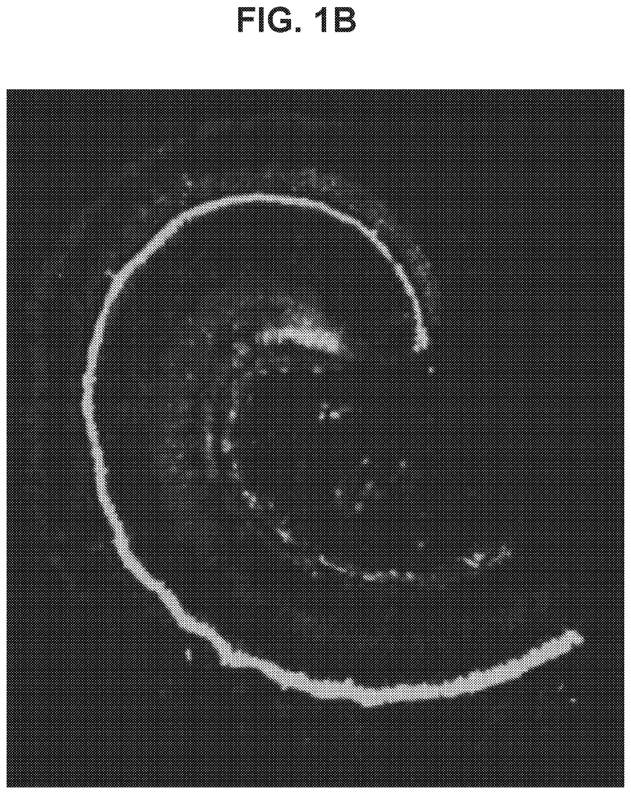 Aav1 vectors and uses thereof for treatment of otic indications