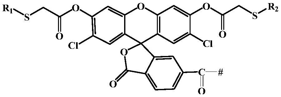 A kind of polymer fluorescent probe and its application