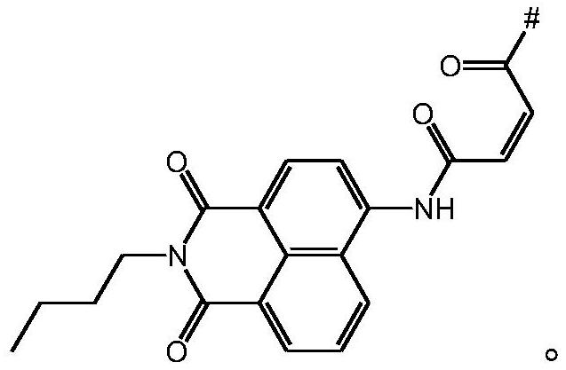 A kind of polymer fluorescent probe and its application