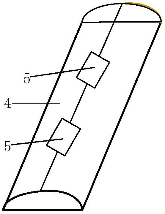 Transparent display substrate and transparent display device