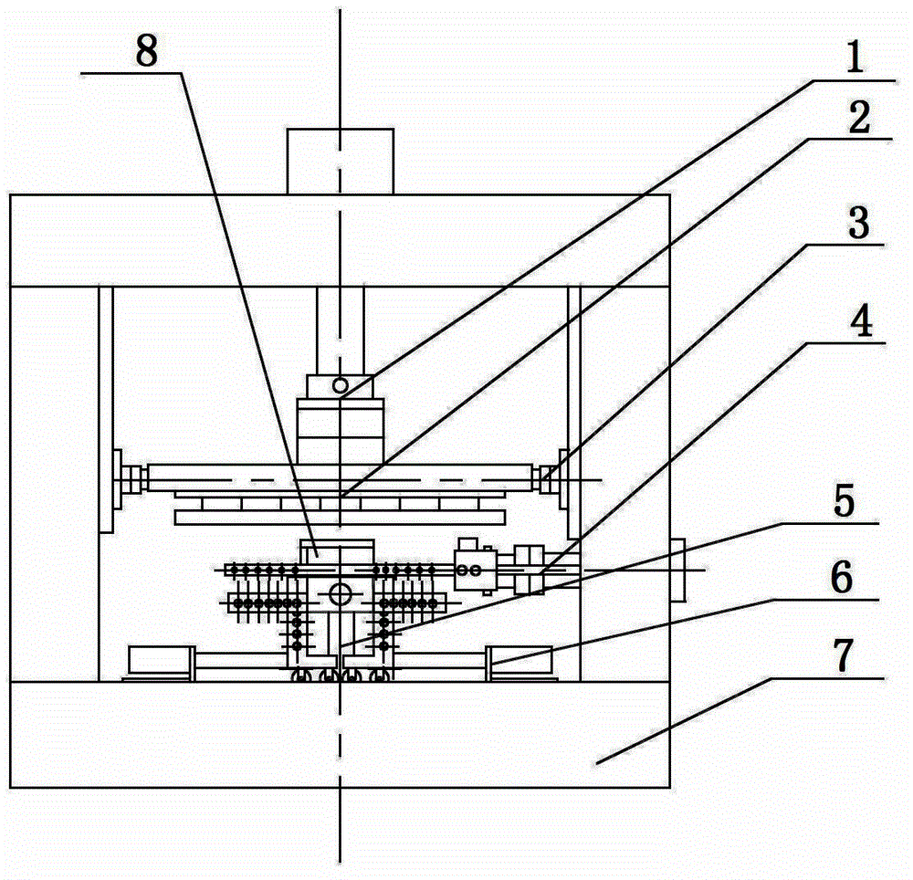 Multi-scale rock direct shear apparatus