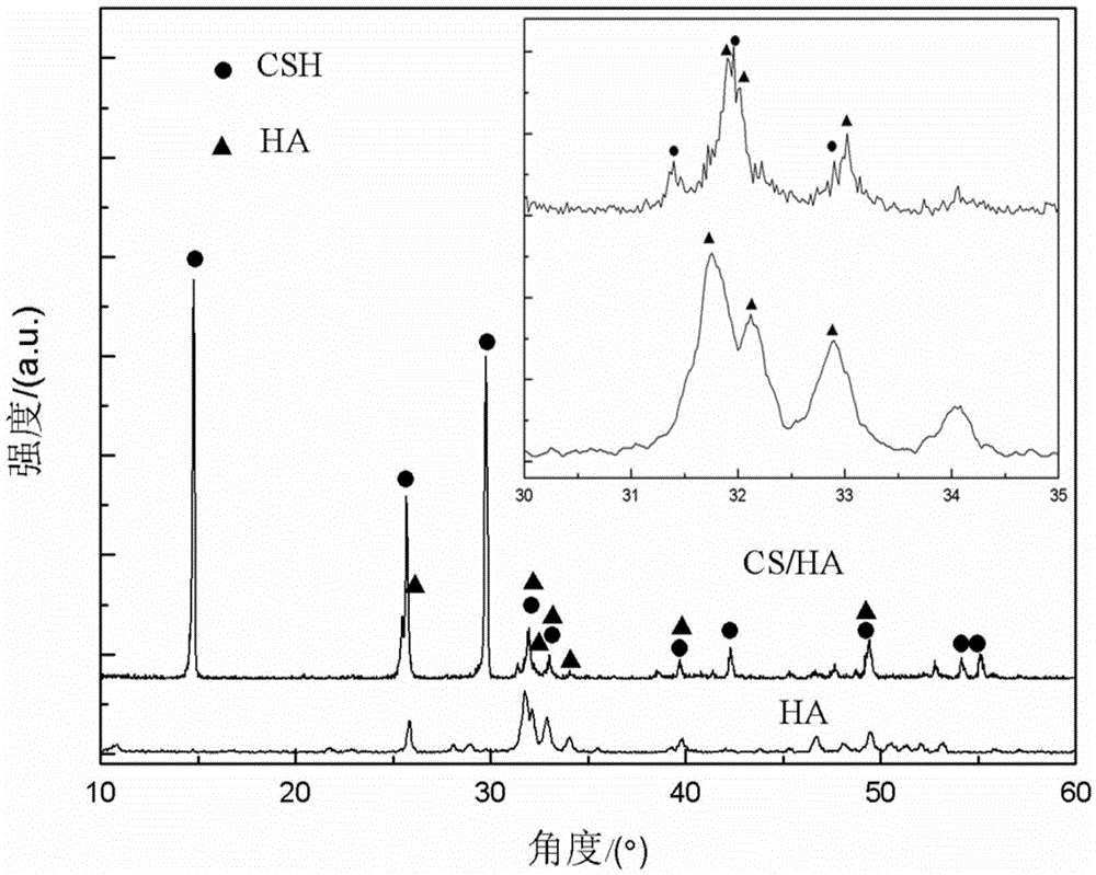 Composite bone cement and preparation method thereof