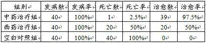 Feed, traditional Chinese medicine composition and preparation method for preventing and treating duck coccidiosis