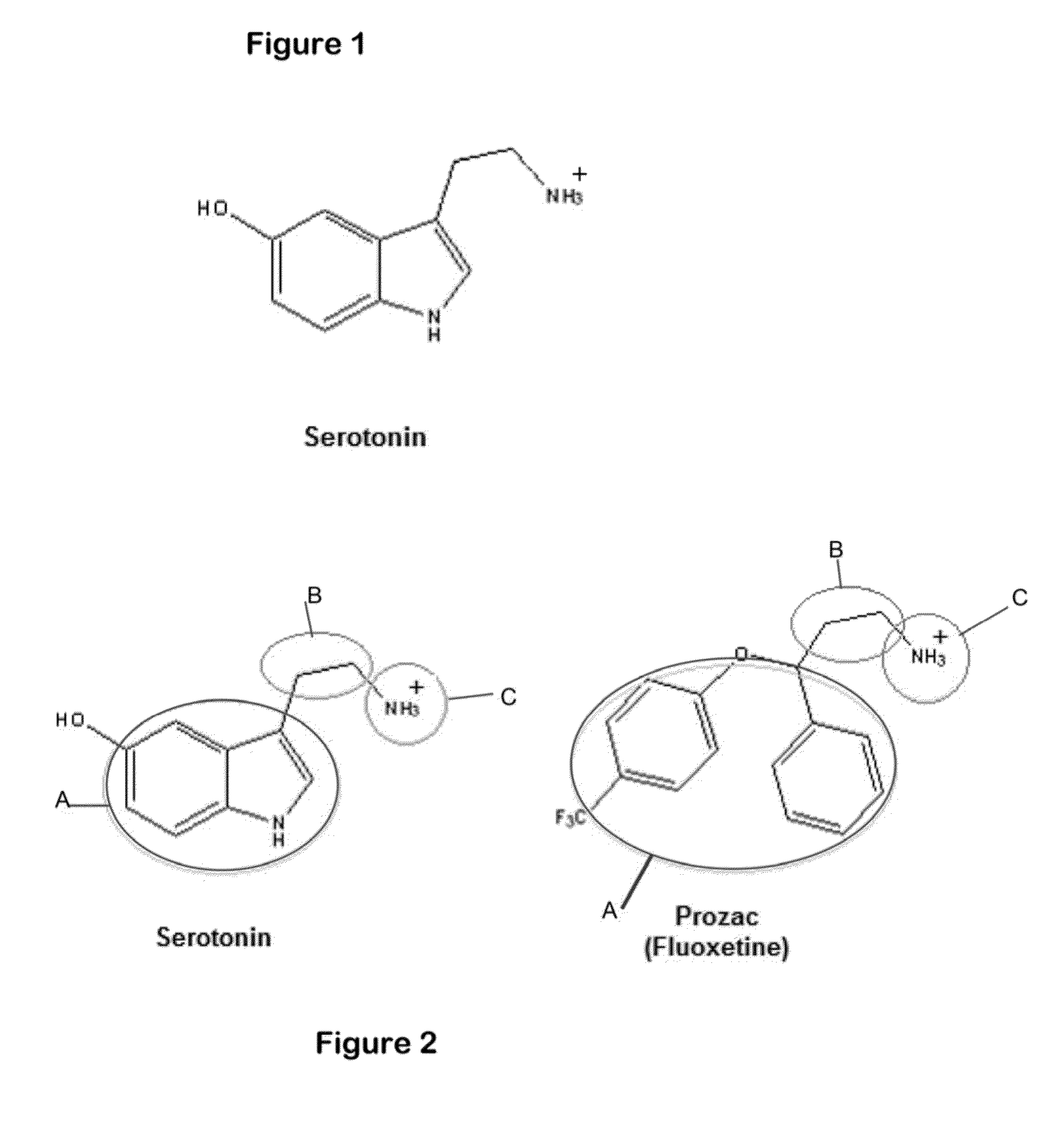 System for the efficient discovery of new therapeutic drugs