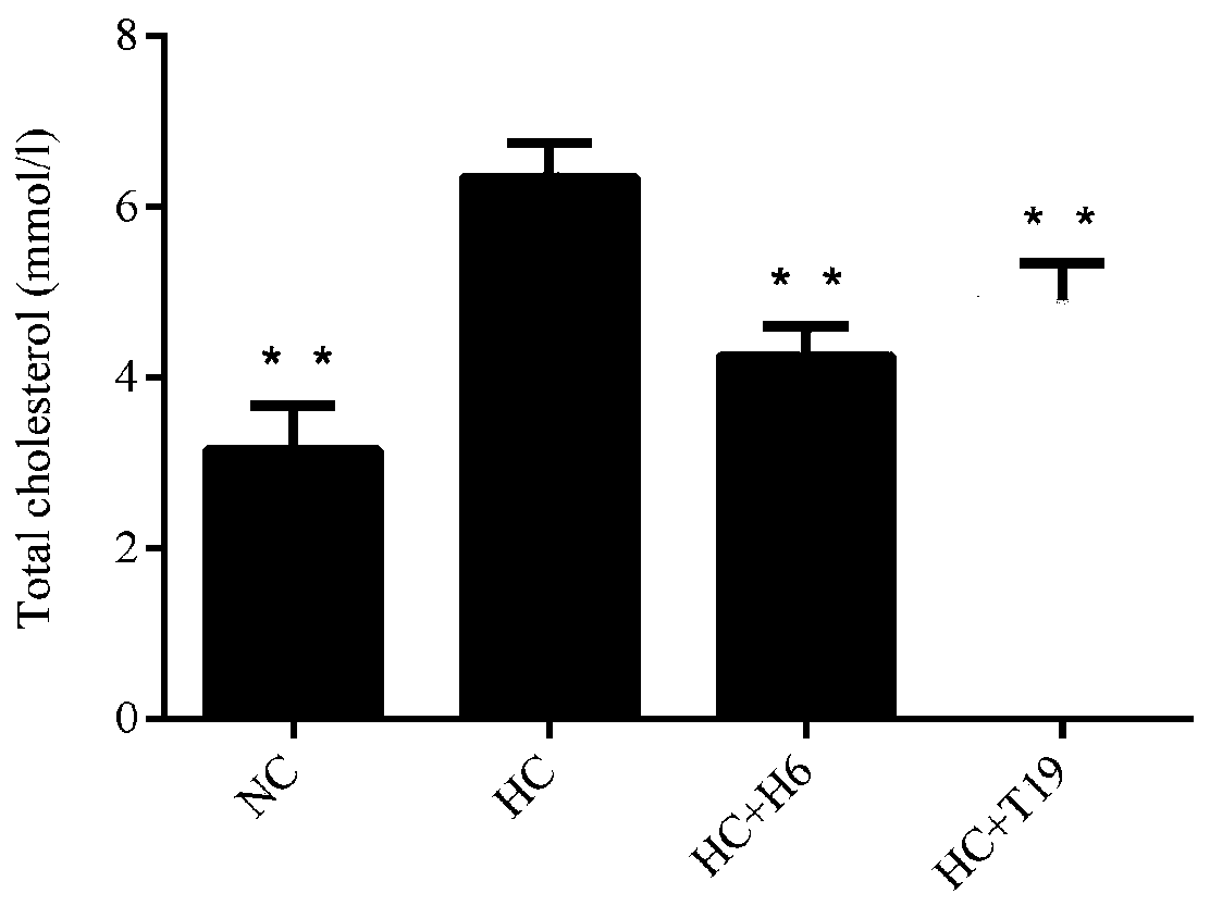 Lactobacillus plantarum for efficiently lowering in-vivo cholesterol level and application of lactobacillus plantarum