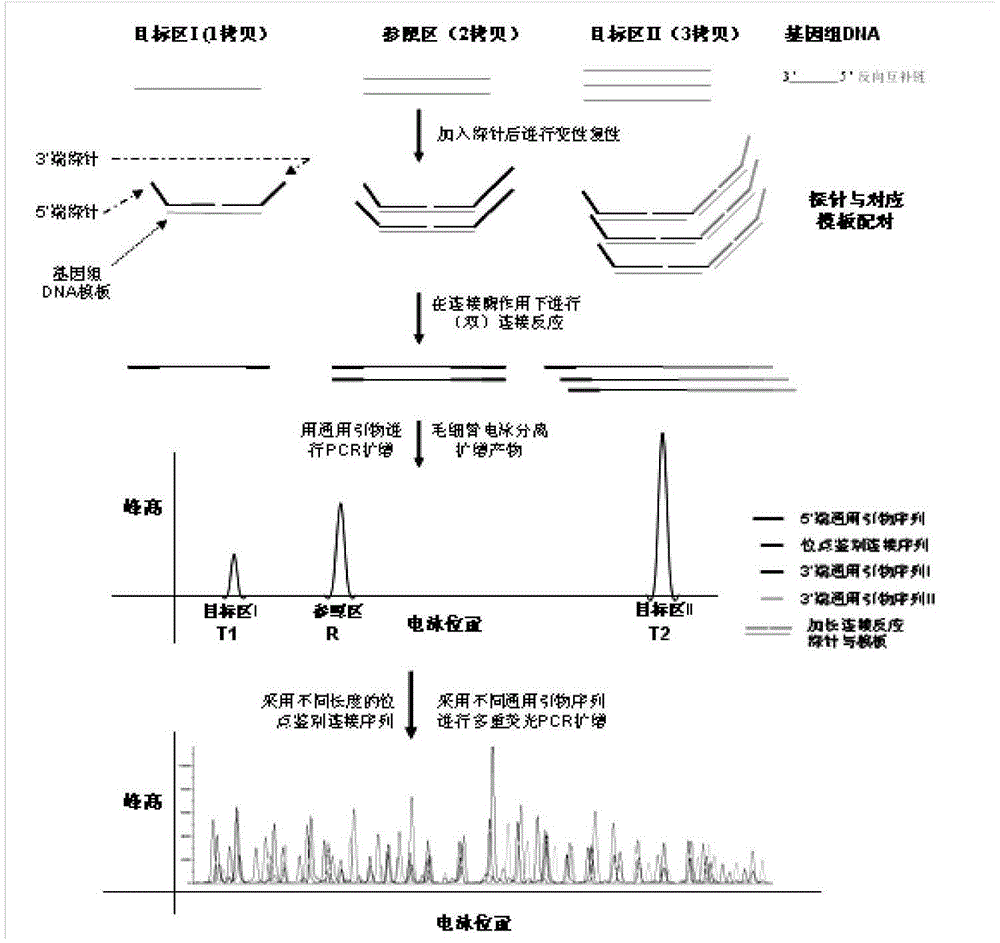 Novel chromosome microdeletion/microduplication syndrome detection system and kit