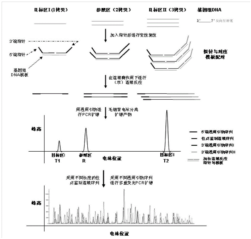 Novel chromosome microdeletion/microduplication syndrome detection system and kit