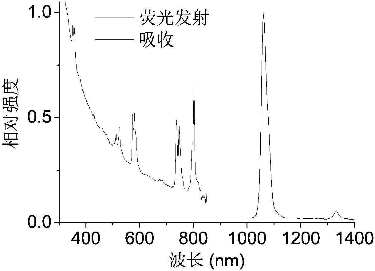 Near-infrared second window emitted micro-molecular rear earth complex fluorescence probe and preparation method thereof