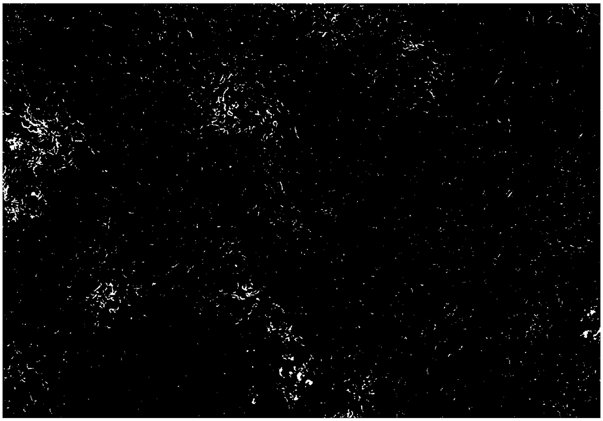 Charged biomimetic implantation film material regulated and controlled through magneto-electric coupling and preparation method thereof