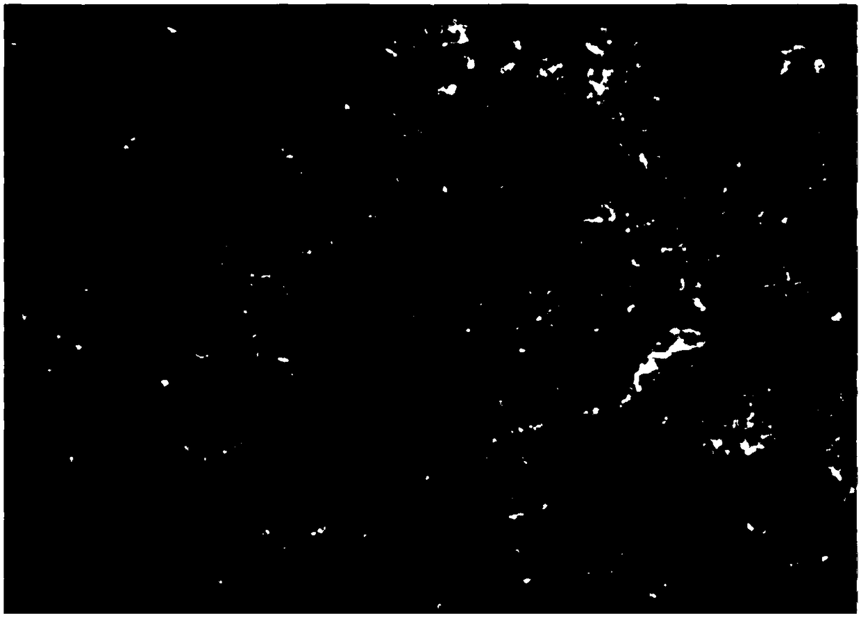 Charged biomimetic implantation film material regulated and controlled through magneto-electric coupling and preparation method thereof