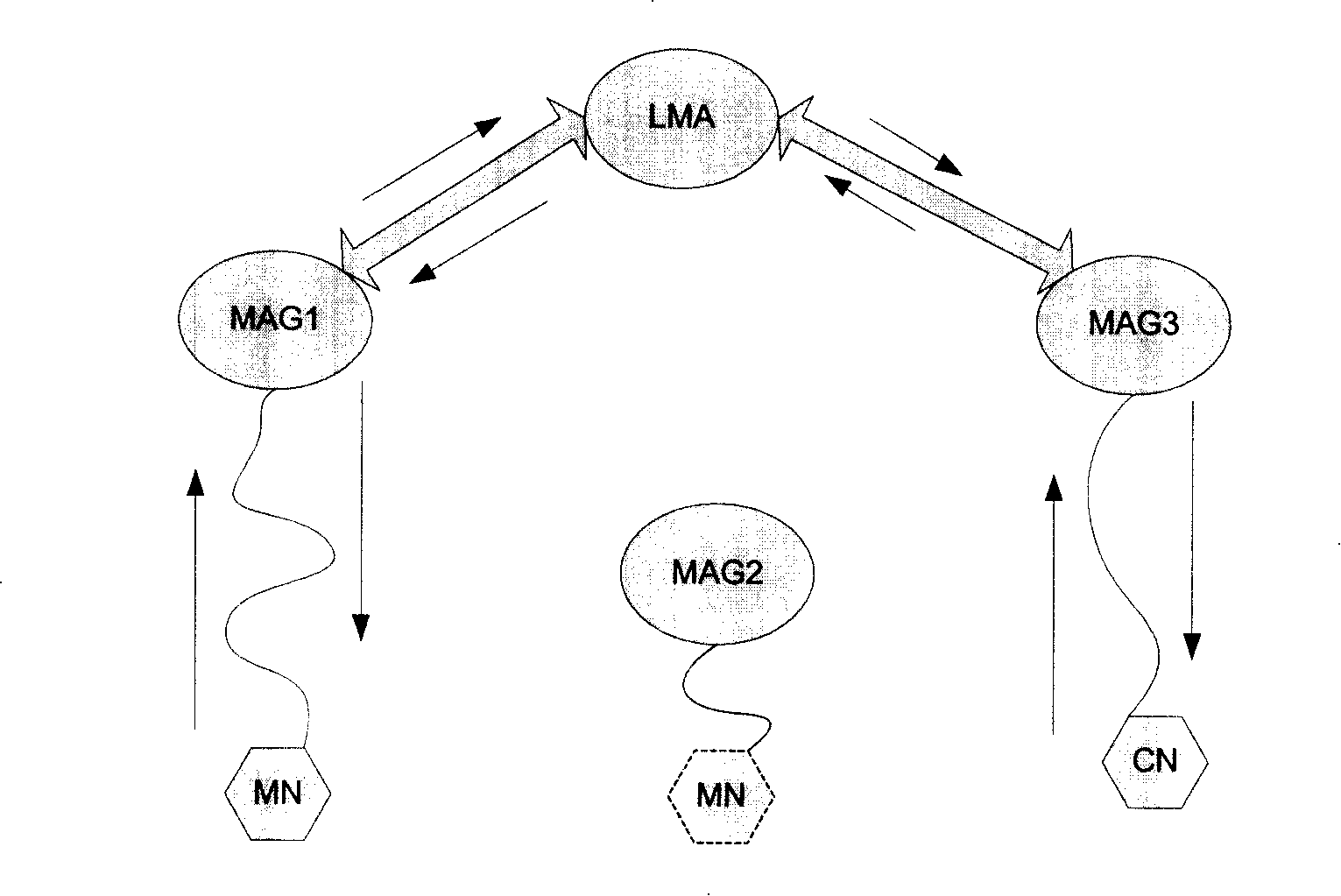 Routing optimization based switch method in local mobile administrative domain