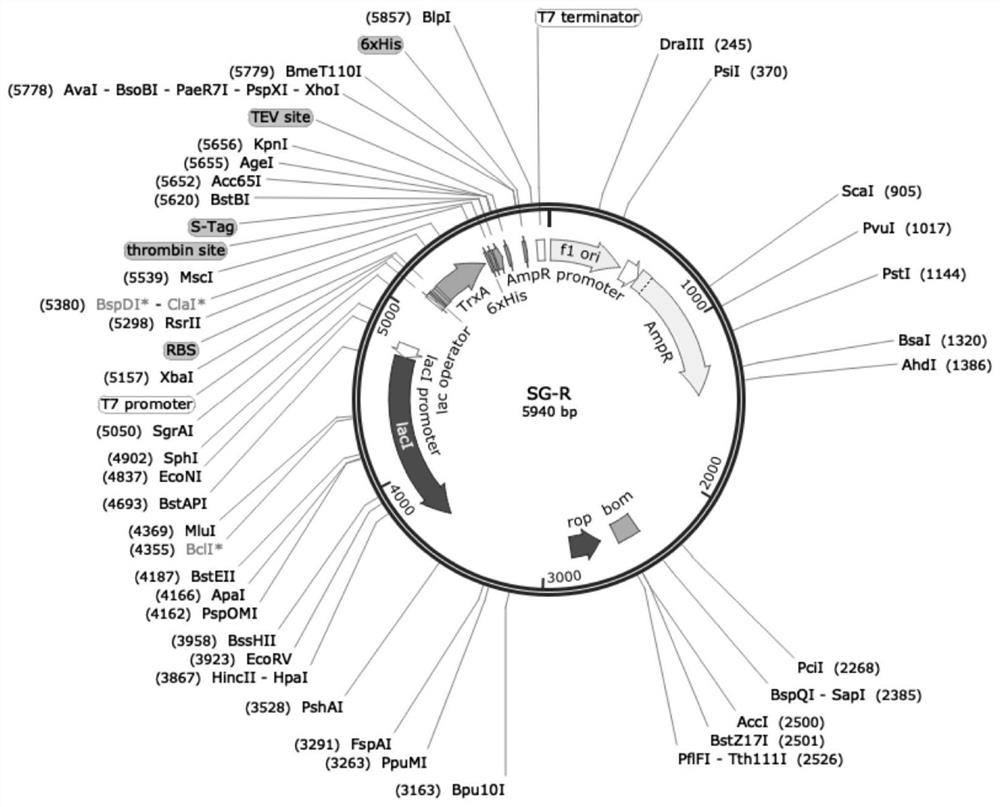 Method for preparing semaglutide by biochemical method