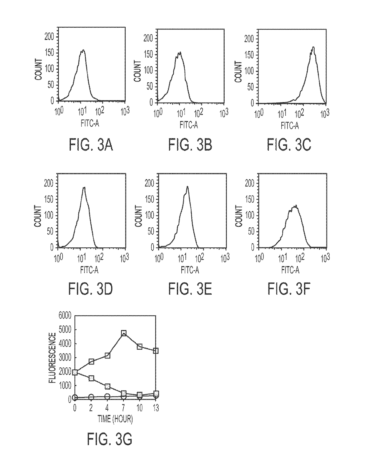 Regulated switch for gene expression