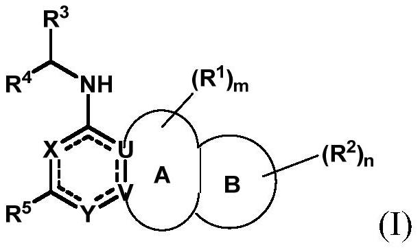 Substituted bicyclic aromatic heterocyclic amine inhibitor as well as preparation method and application thereof