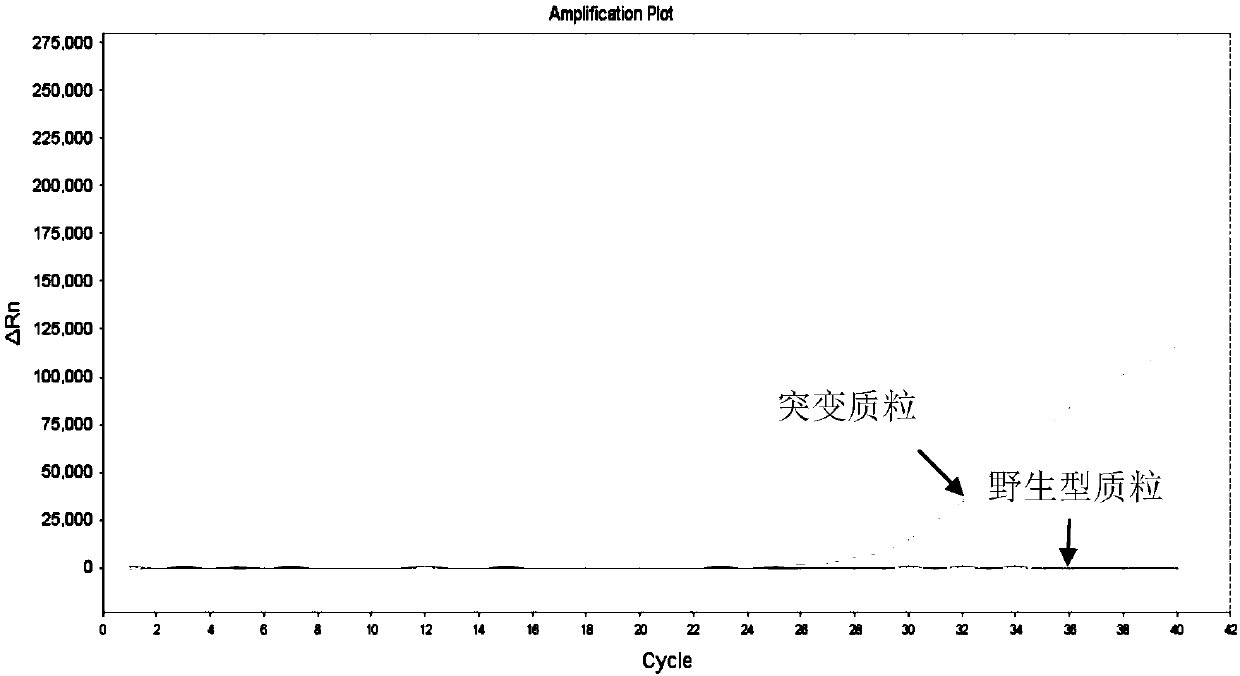 Kit for detection of human PIK3CA gene mutation and clinical application