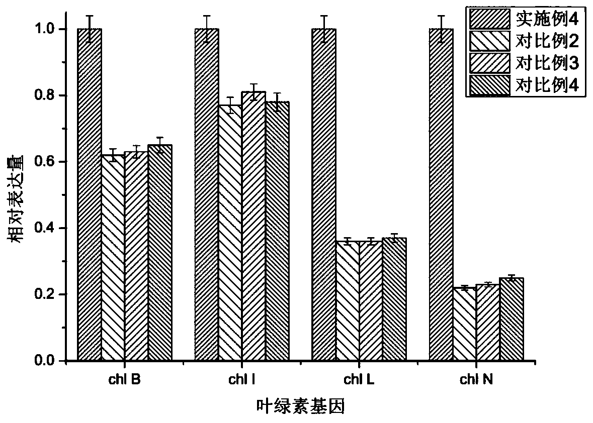 Livestock-and-poultry-breeding wastewater treatment agent and application method thereof