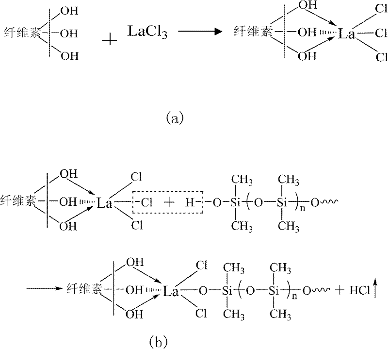 Environmentally friendly modified bast fiber containing functional structure, and preparation method thereof