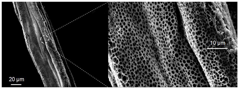 A kind of preparation method of polylactic acid fiber composite surface porous membrane material