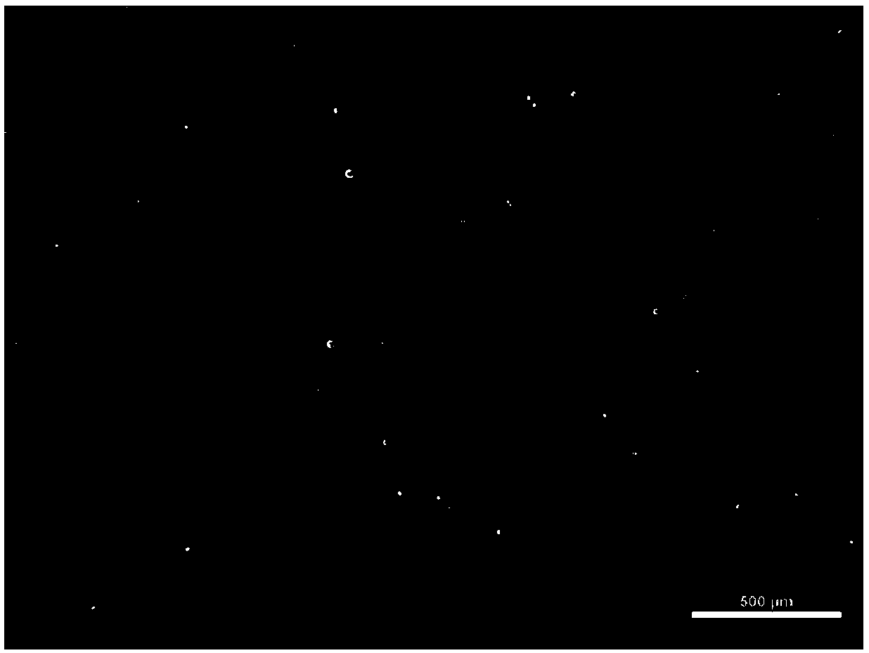 Microemulsion with effects of reducing fat and thinning body and preparation method thereof